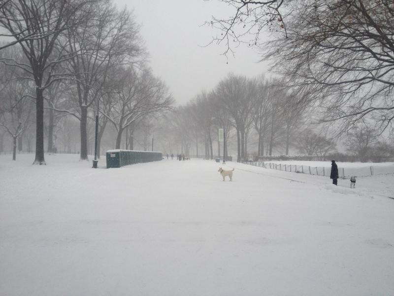 Central Park blanketed with snow.